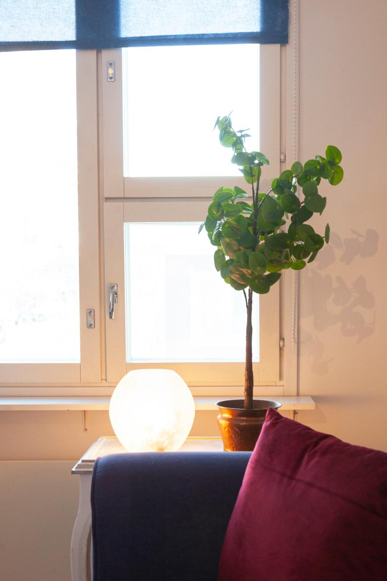 Saimaan Kodikas Apartment ซาวอนลินนา ภายนอก รูปภาพ